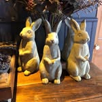 Janet Whitlock - @janet.whitlock.7 - Instagram