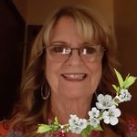 Janet Whitmore - @janet.whitmore.90 - Instagram