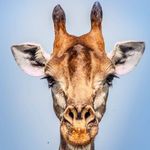 Janet Whitmore - @janet.whitmore.568 - Instagram