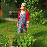 Janet Whitmore - @janet.whitmore.39 - Instagram
