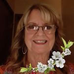 Janet Whitmore - @whitmore9251 - Instagram