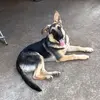 janetwhitmore989 - @janetwhitmore989 - TikTok