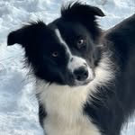 Janet Whittaker - @janet300857 - Instagram
