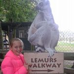 Janet Whittaker - @whittaker1140 - Instagram