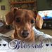 Janet Whittaker - Facebook