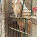 Janet Neumann Wilbur - Facebook