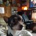 Janet Wilbur - Facebook