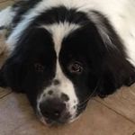 Janet Wilbur - @jwilbur4 - Instagram