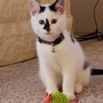 Janet Wilbur Hudecek Marks - @jmarks1938 - Instagram