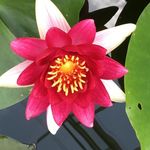 Janet Wild - @janbear20 - Instagram