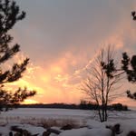 Janet Williams - @janetwilliams5738 - Instagram