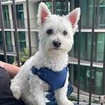 Janet M Willett - @janet83510 - Instagram