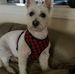 Janet Willett - Facebook