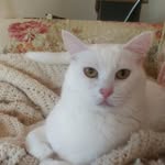 Janet Winder - @janet.winder.3 - Instagram