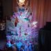 Janet Winstead - Facebook