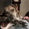 janetensworth - @janetensworth - TikTok