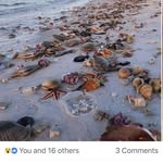 Janet Wright - @janet.wright.7505 - Instagram