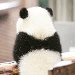Janet Xie - @janetxie95 - Instagram
