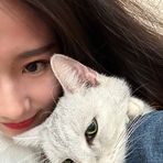 Janet Xie - Facebook