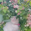 janetxu06 - @iamjanetxu - TikTok