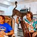 Janet R Yeager - Facebook