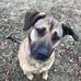 Janet Yeager - Facebook