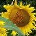 Janet Yeager - Facebook