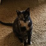 Janet Zerbe - @janetz218 - Instagram