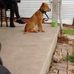 Janet Zerbe - Facebook