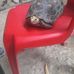 Janeth Arias - Facebook