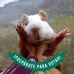 Janeth Barrera - Facebook