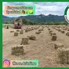 JanethBedoya9809 - @janethbedoya9809 - TikTok