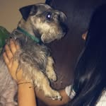 Janeth Bermudez - @janethbermudez565789 - Instagram