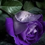 Janeth Castillo - Facebook