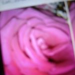 Janeth Corrales - @janeth.corrales.3979 - Instagram