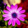 Janeth Flores - @janethf372 - TikTok