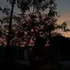 Janeth Jaramillo - @janeth.jaramillo08 - TikTok