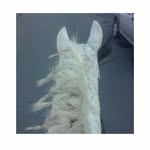 janeth - @janeth_leon_ - Instagram