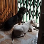 Elangel DDios - @janeth_mera - Instagram