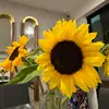 Janethosorio - @janethosorio31 - TikTok