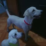 janeth roldan - @janethroldan1473 - Instagram