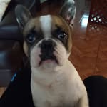 Janett Campos Sessarego - @jcs290770 - Instagram