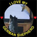 Janette Gsd Hall - @janettehall9235 - Instagram