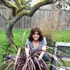 janettalee106 - @janettalee106 - TikTok
