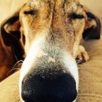 Janet Bacon - @janct33 - Instagram