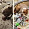 Janet Barron - @janet.barron - TikTok