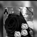 Janette Barron - Facebook