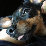 Janette Bennett - @janettiospaghettio - Instagram