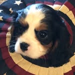 Janet Berry - @janetberry300 - Instagram