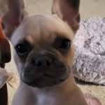 Janette Berry - @janetteberry16 - Instagram